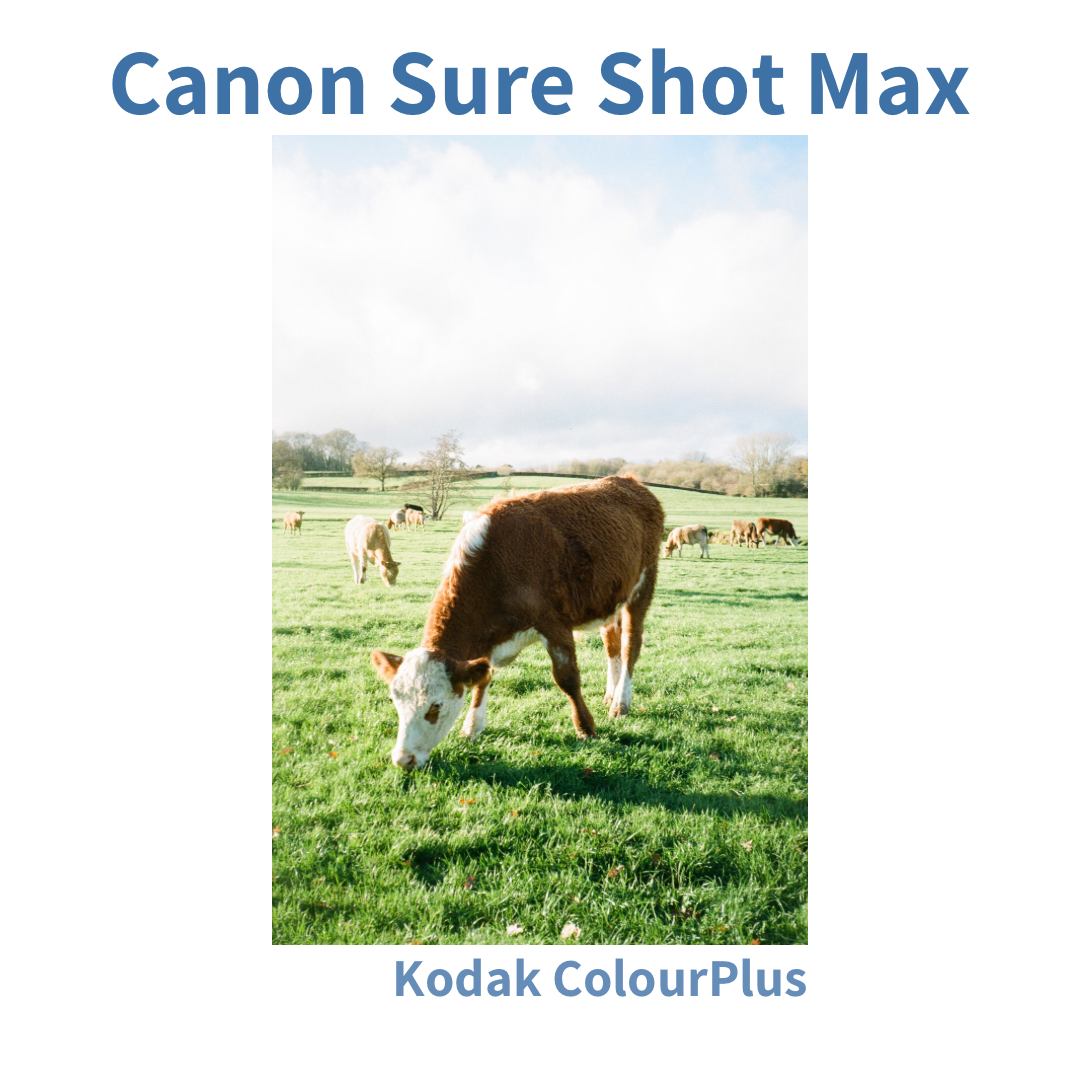 Canon Sure Shot Max