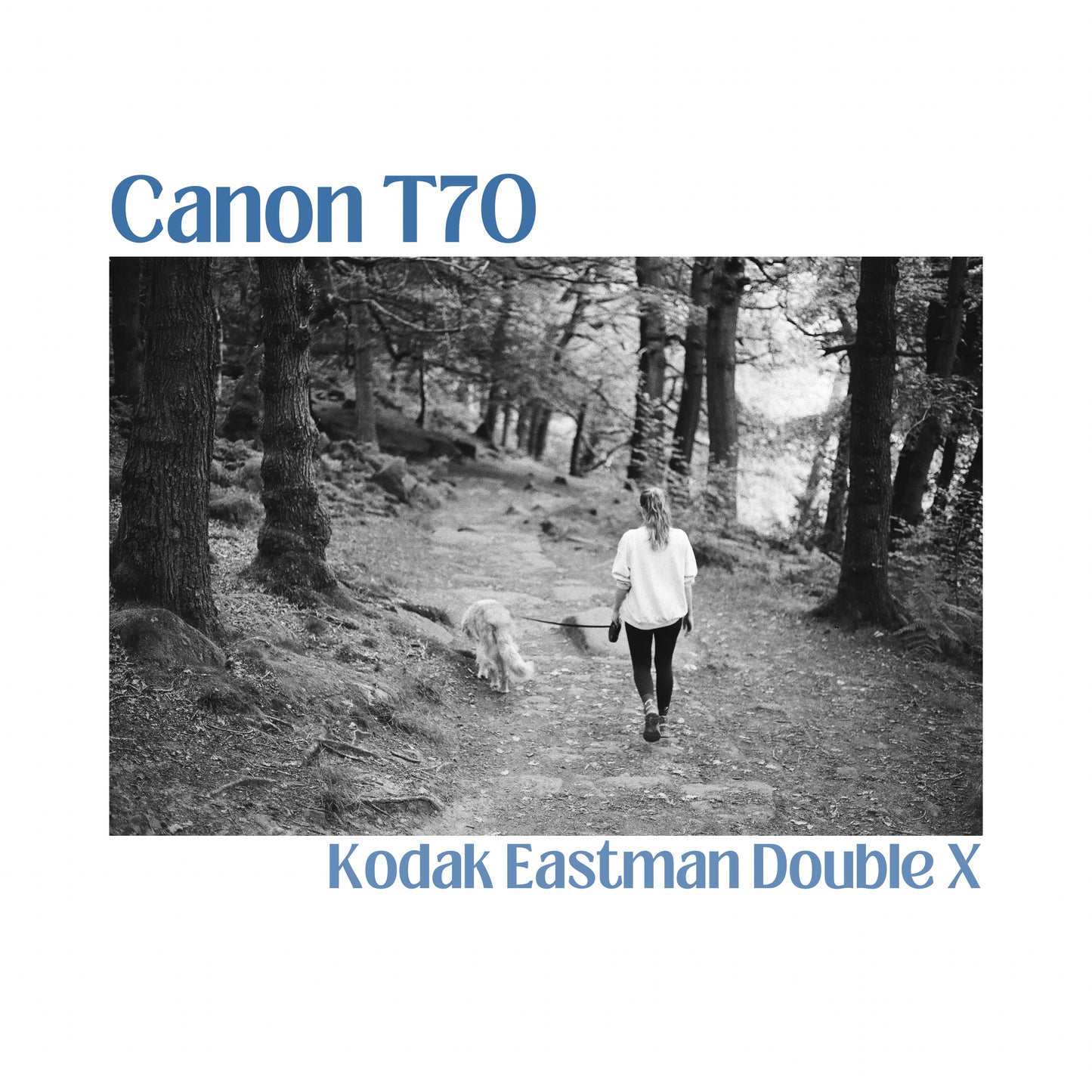 Canon T70
