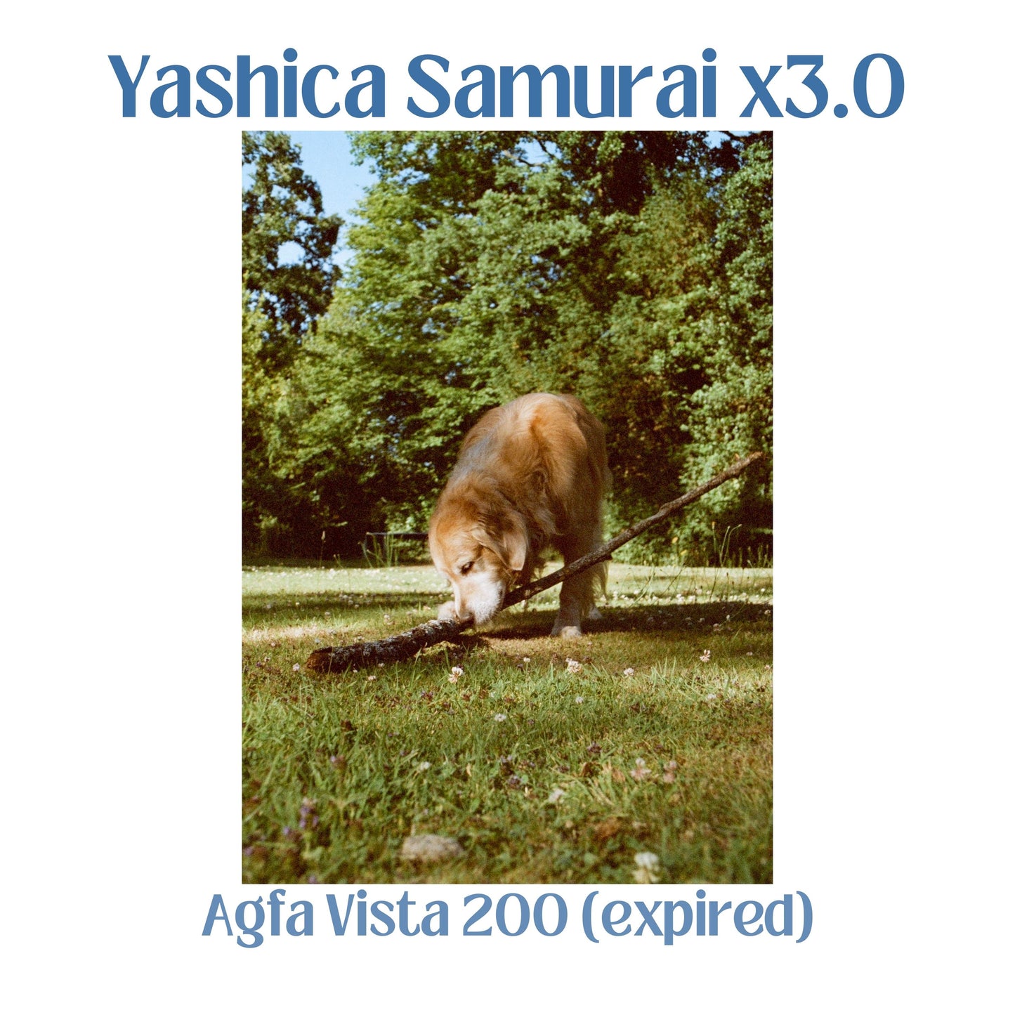 Yashica Samurai x3.0