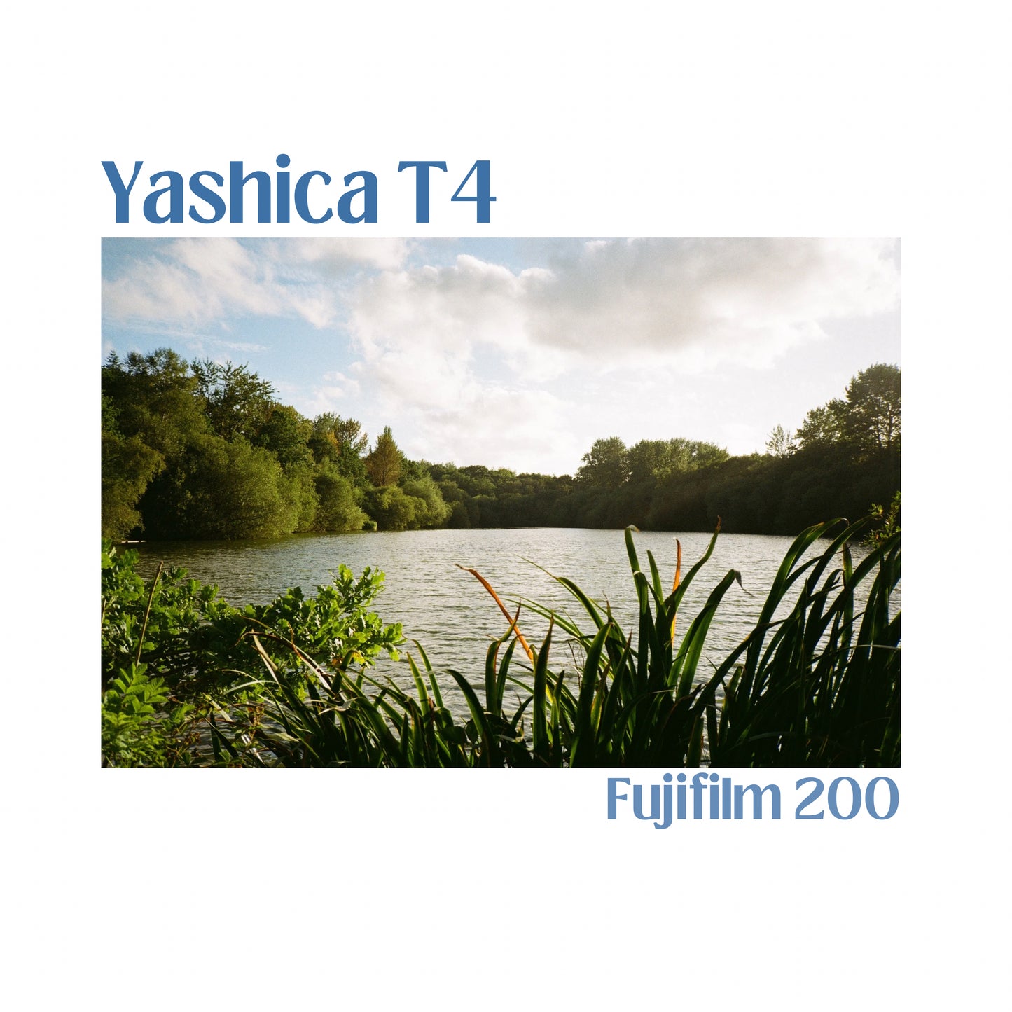 Yashica T4