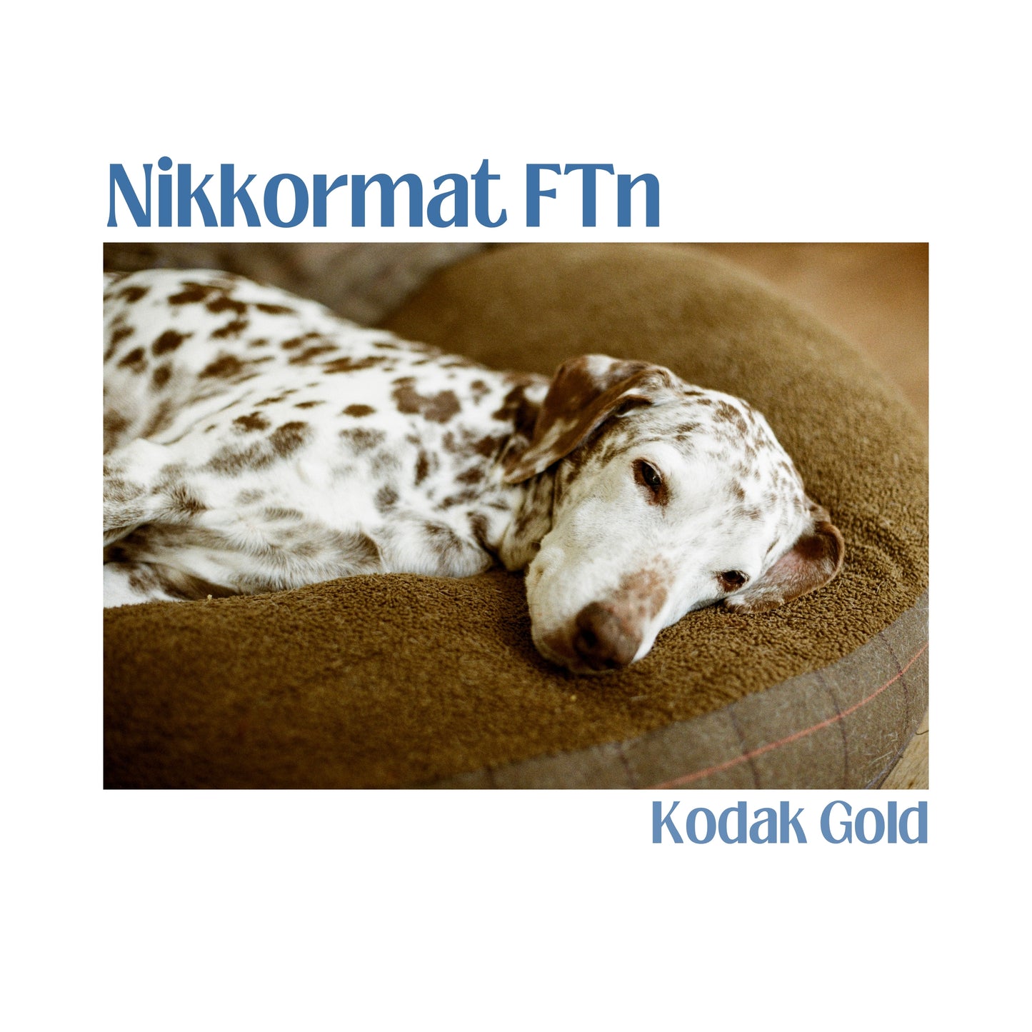 Nikkormat FTN with 50mm f/1.4