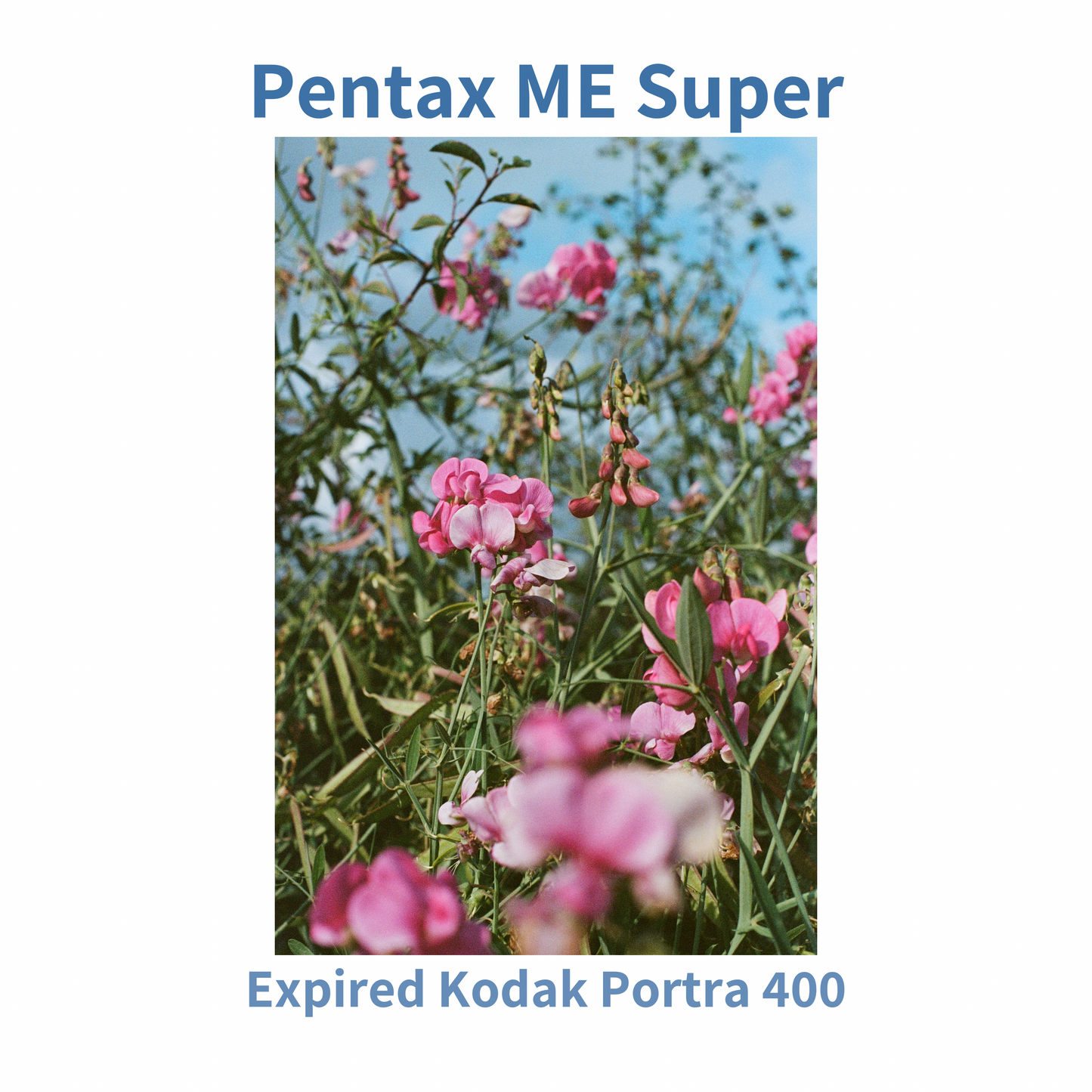 Pentax ME Super