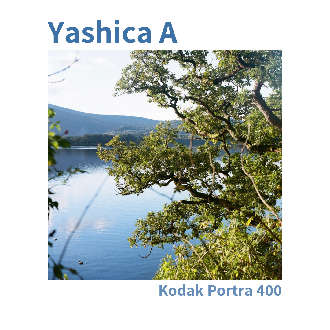 Yashica A