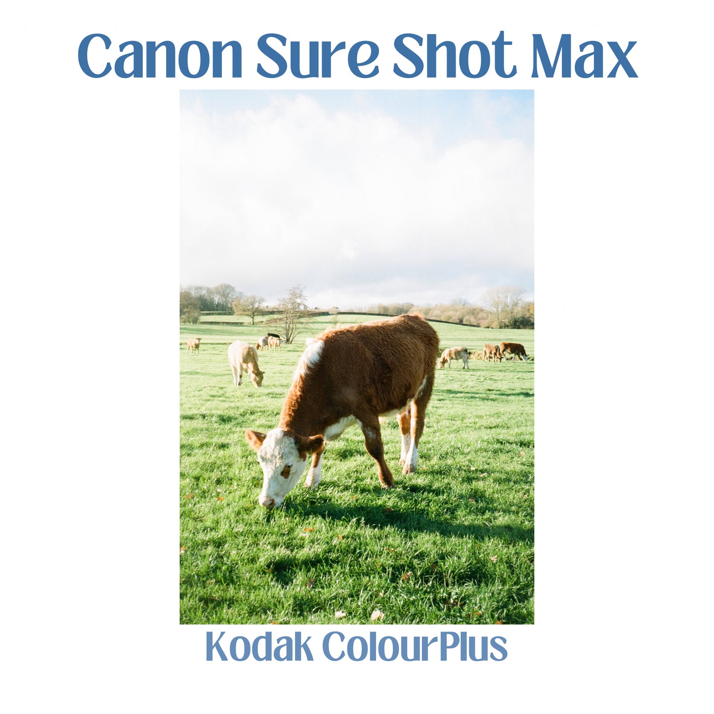 Canon Sure Shot Max