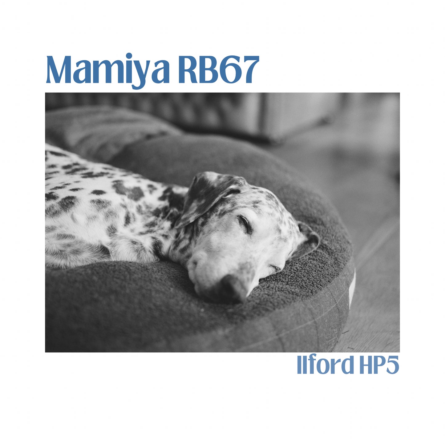 Mamiya RB67 Pro SD with 90mm f3.5 lens