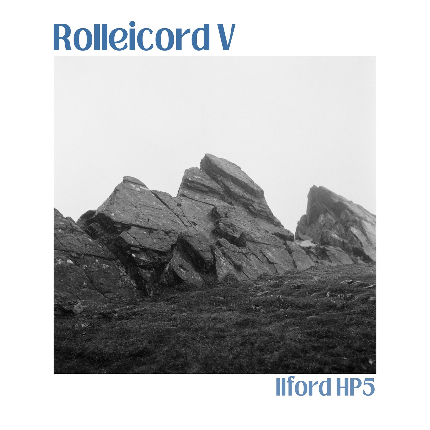 Rolleicord V