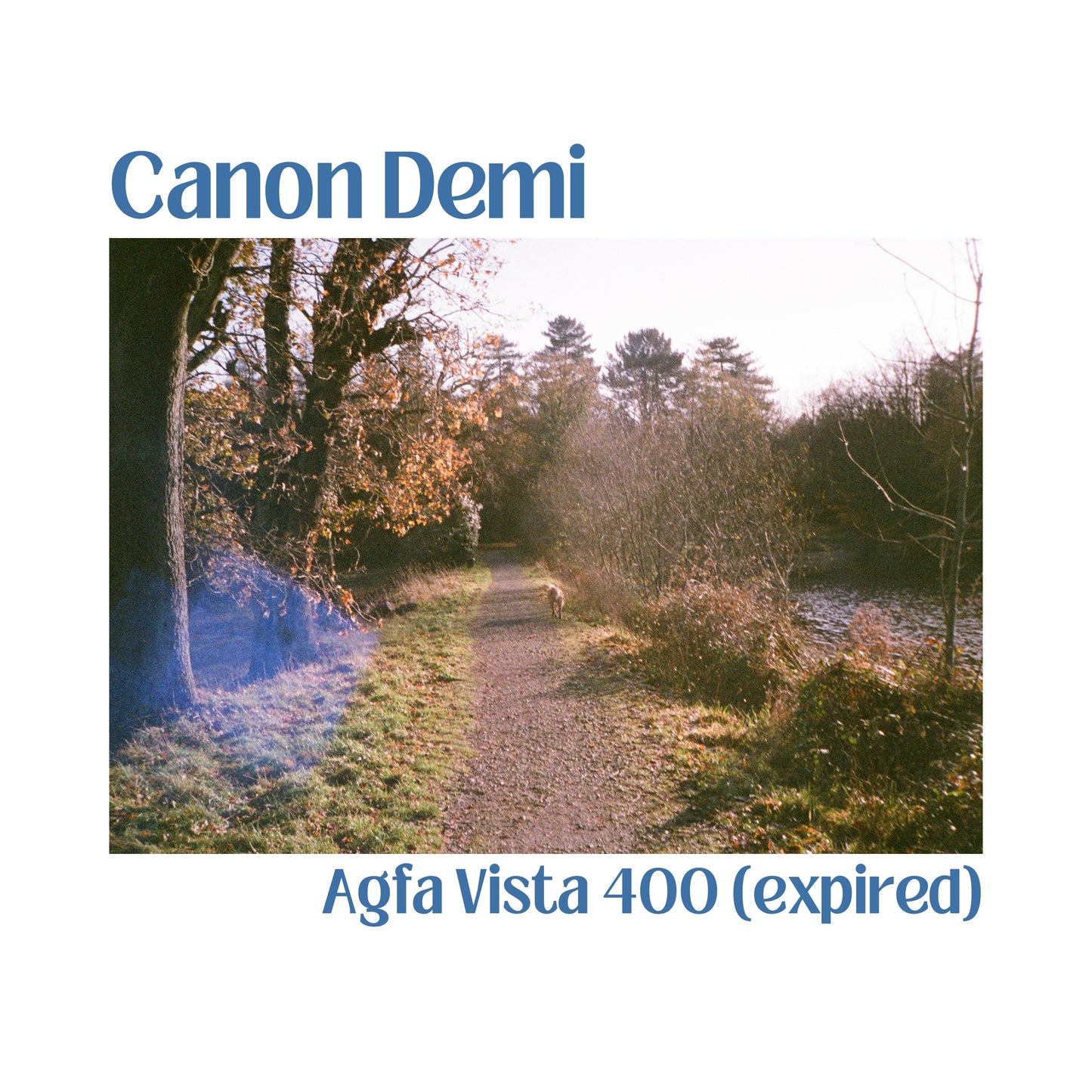 Canon Demi