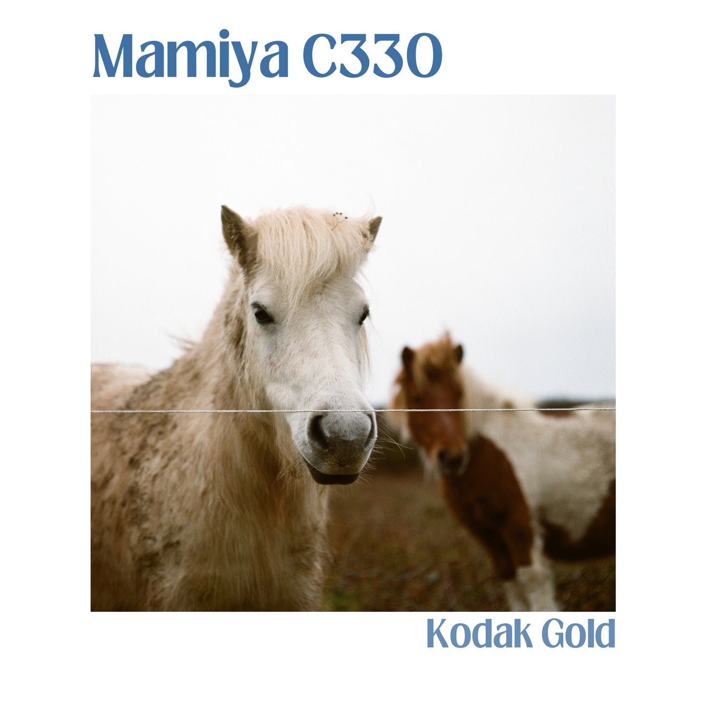 Mamiya C330 Professional F