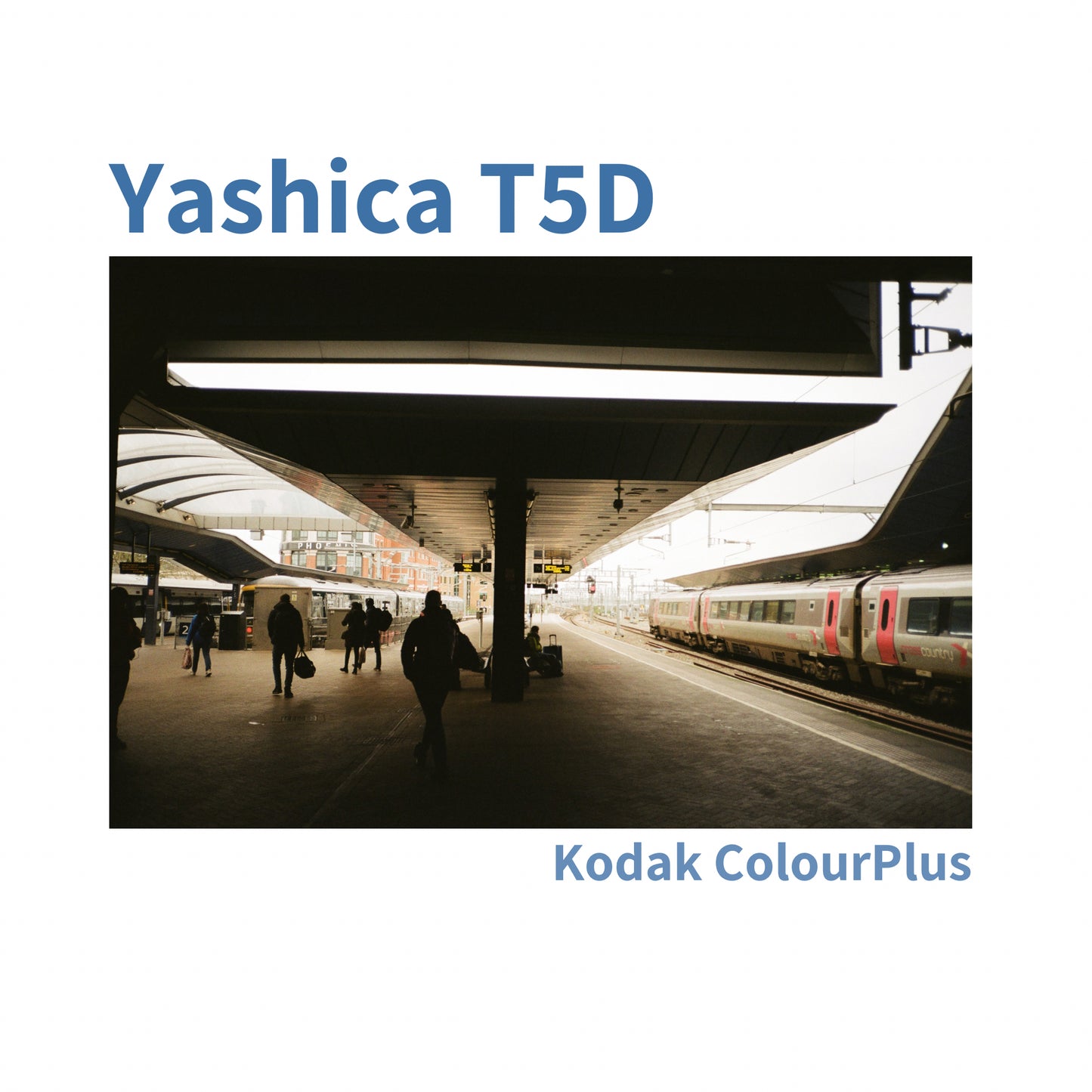 Yashica T5D