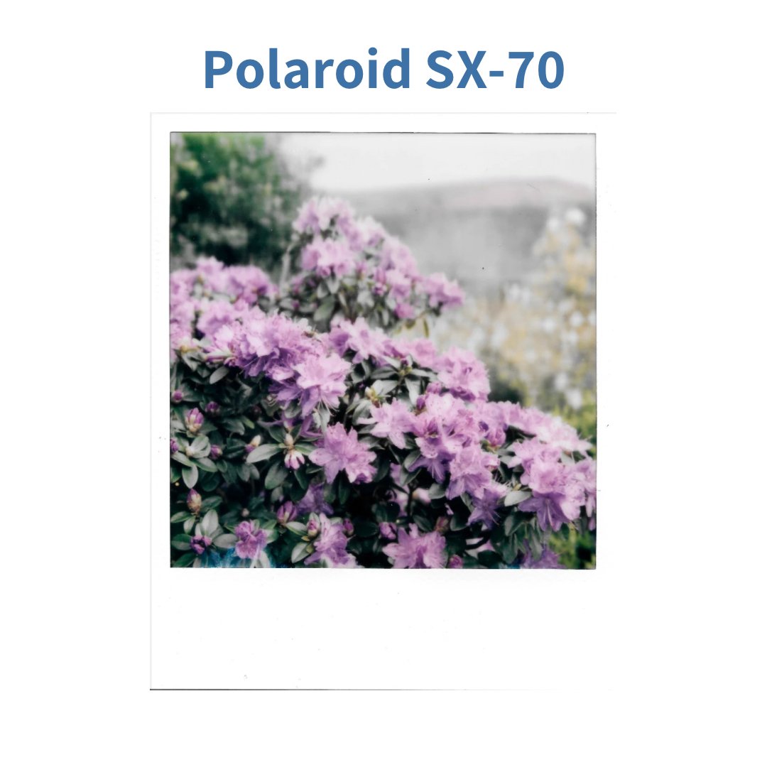 Polaroid SX-70 Model 1