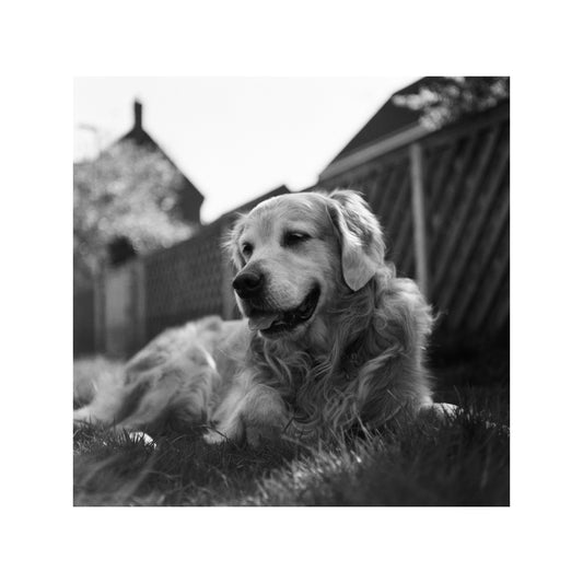 Kentmere Pan 100 - 35mm Film