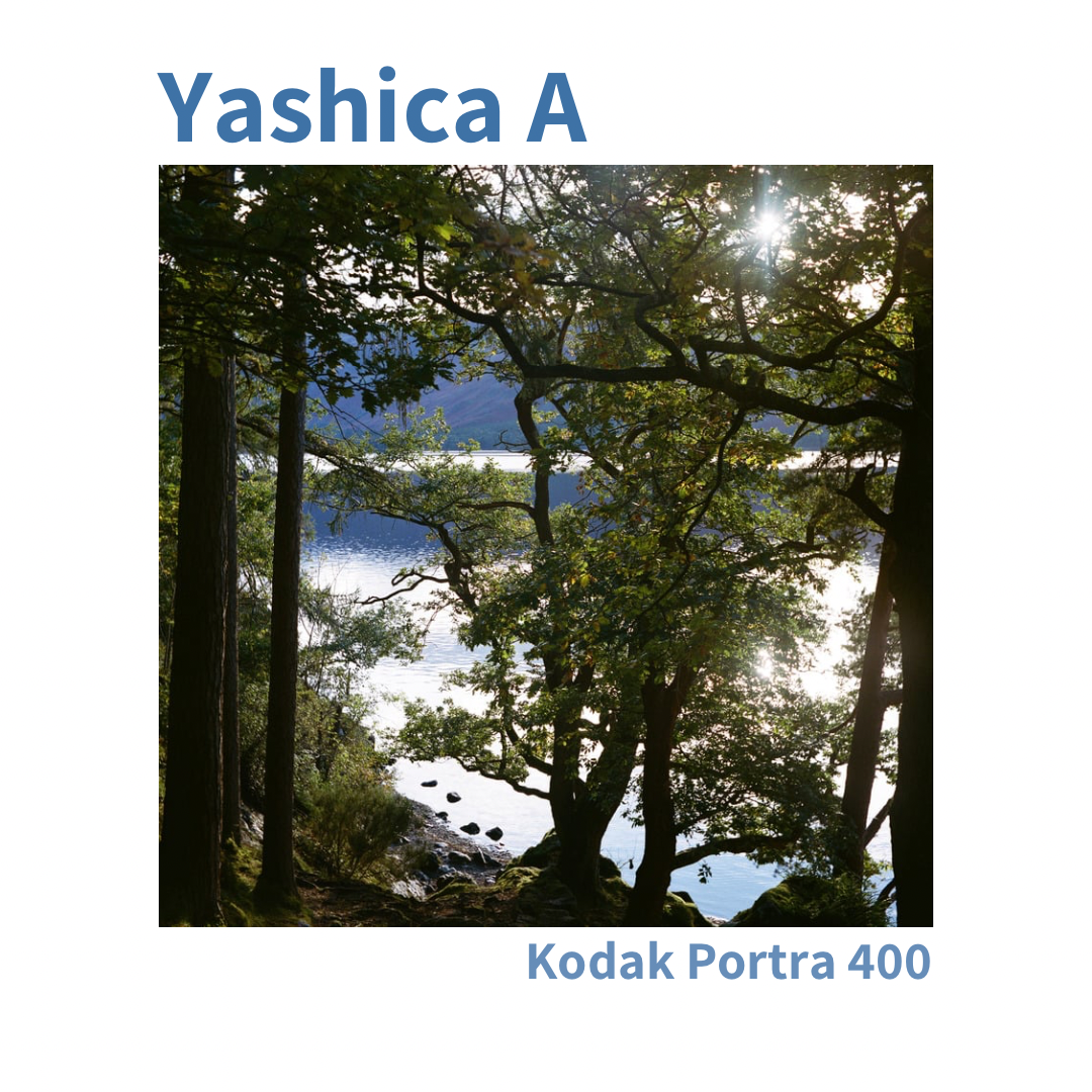 Yashica A